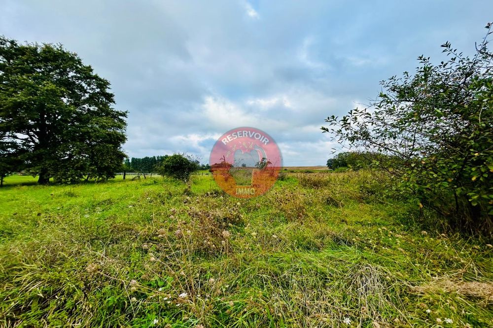 vente Terrain Courcelles-lès-Semur (21140)