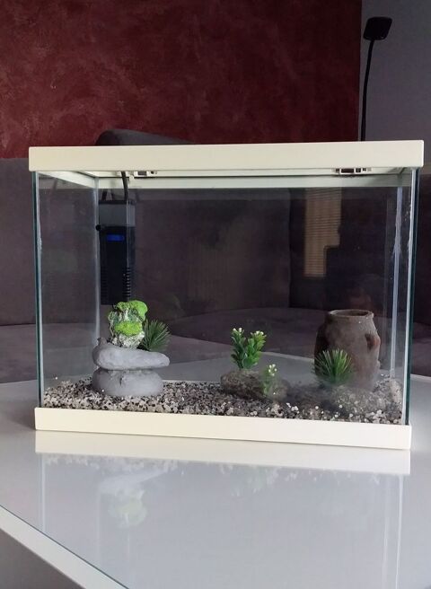 aquarium complet 40 44190 Clisson