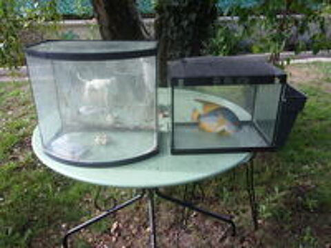   lot de 2 aquariums 
