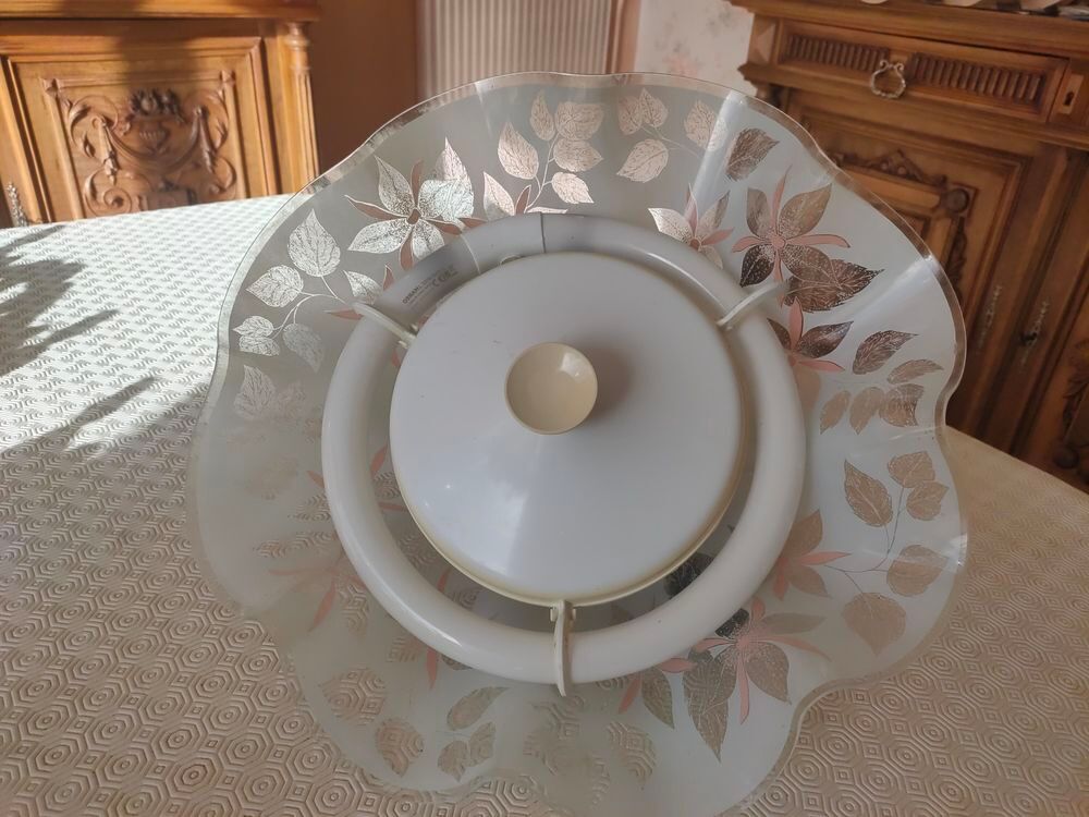 Lustre Cuisine