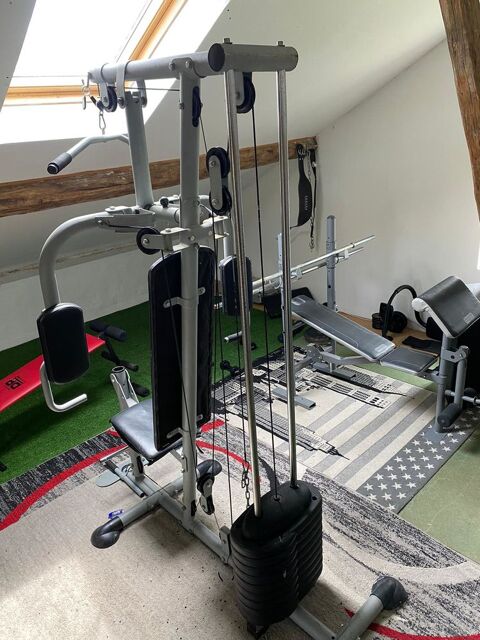 Appareil musculation 80 Gastins (77)