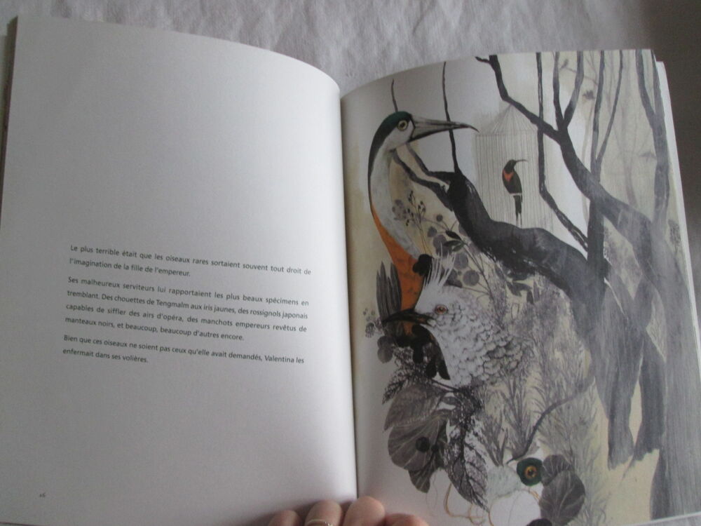 Livre illustr&eacute; enfant-La voli&egrave;re dor&eacute;e- C.Cneut A.Castagnoli Livres et BD