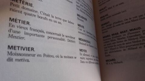 Dictionnaire des noms de famille et des prénoms 4 Vihiers (49)