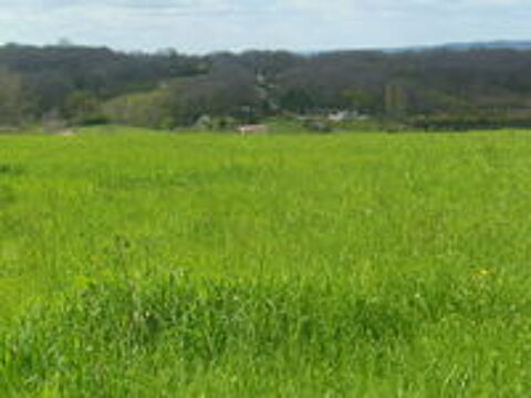   FOIN POUR CHEVAUX OU  AUTRE 