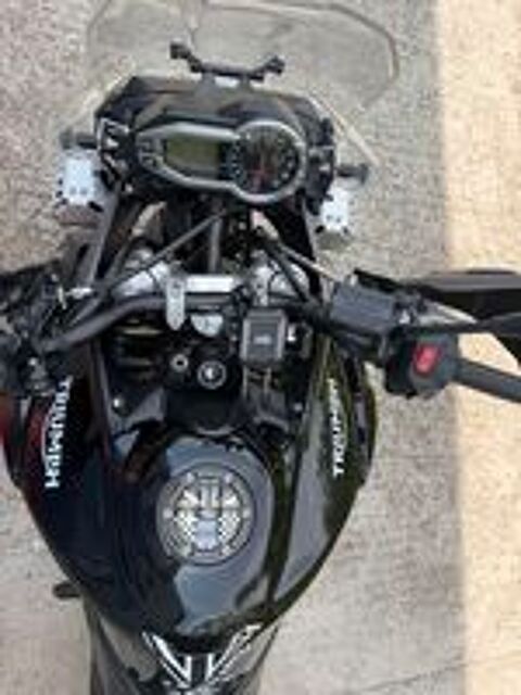 TRIUMPH 2015 occasion 34000 Montpellier