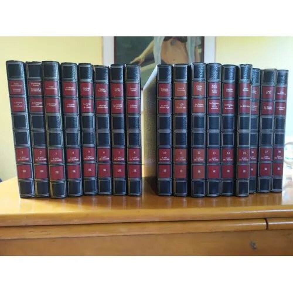 l'encyclop&eacute;die "L'Art du Monde" en 18 volumes Livres et BD