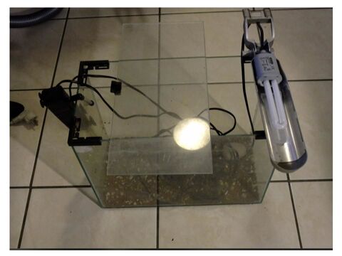 Aquarium 30 Saint-Sever (40)