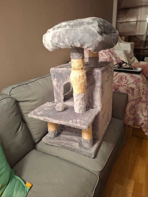 Arbre � chat 35 Sannois (95)