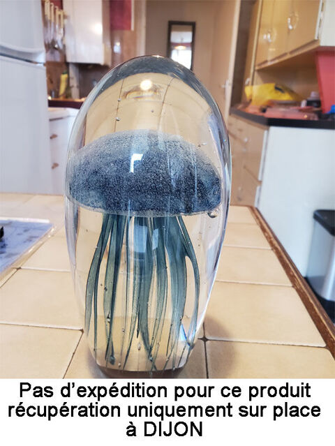 M�duse en verre -  35 Dijon (21)