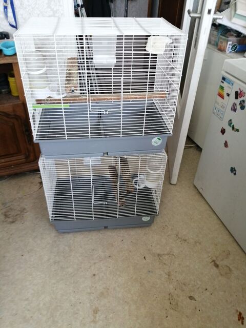 cage oiseau petite taille syle p&eacute;rruche ondul&eacute; canarie serin 30 29490 Guipavas