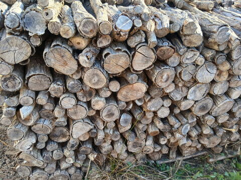 bois de chauffage Moutiers-les-Mauxfaits (85)