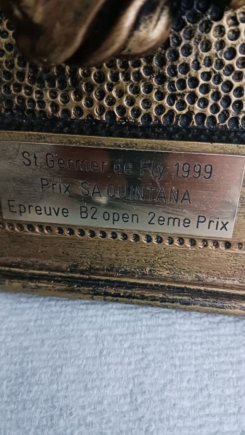 Troph&eacute;e de course de chevaux &eacute;quitation 2 &egrave;me prix Sports
