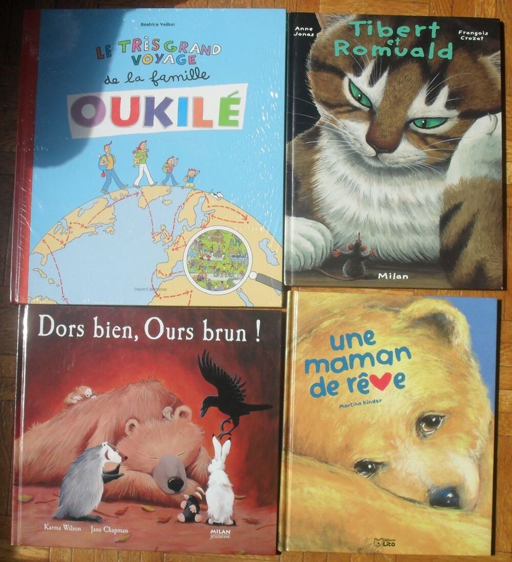 Lot de 4 grands livres pour Enfants NEUFS. Livres et BD