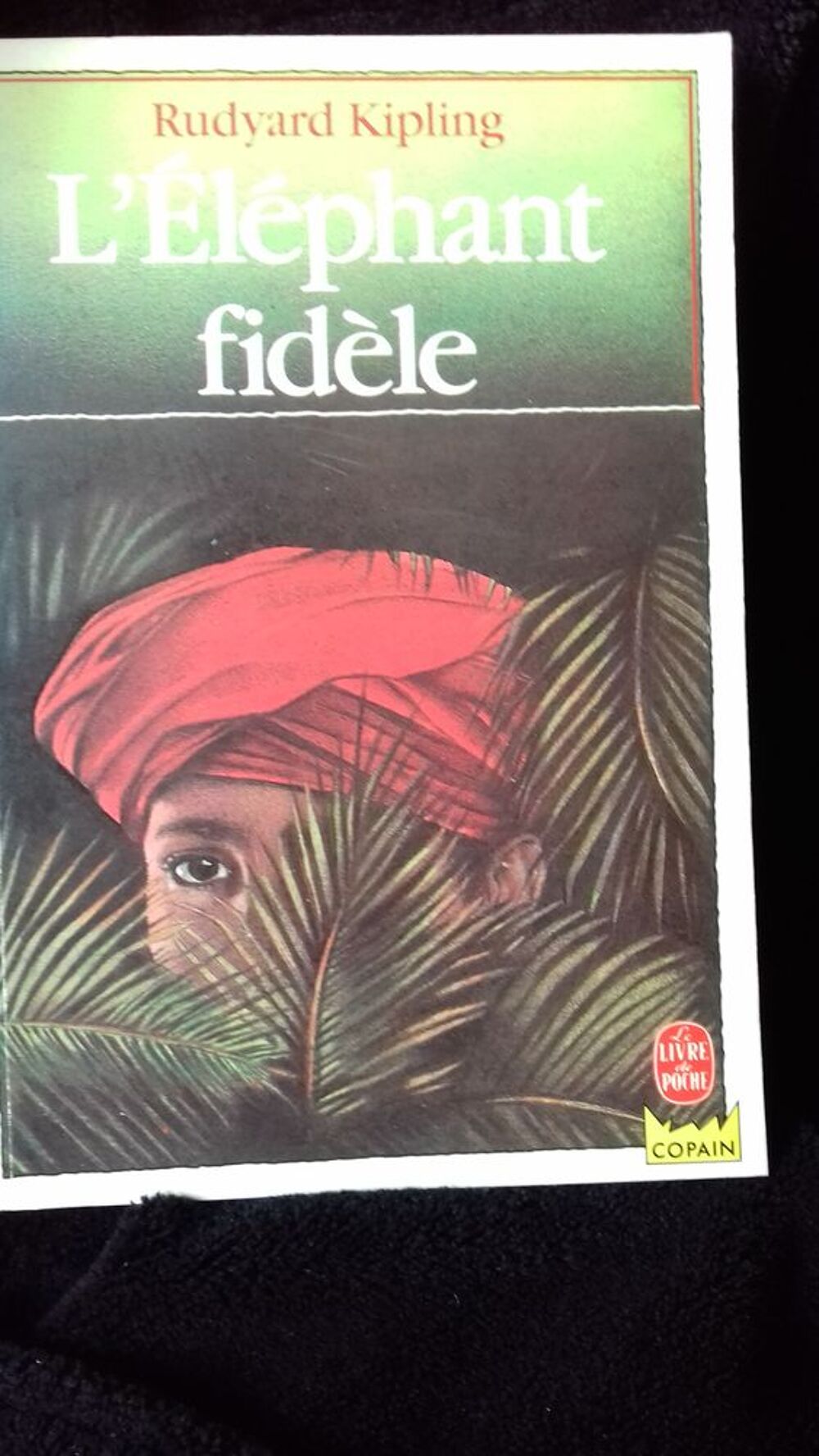 LIVRE POUR ENFANTS Livres et BD