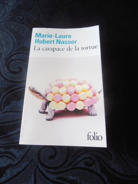 La carapace de la tortue (1) 4 Tours (37)