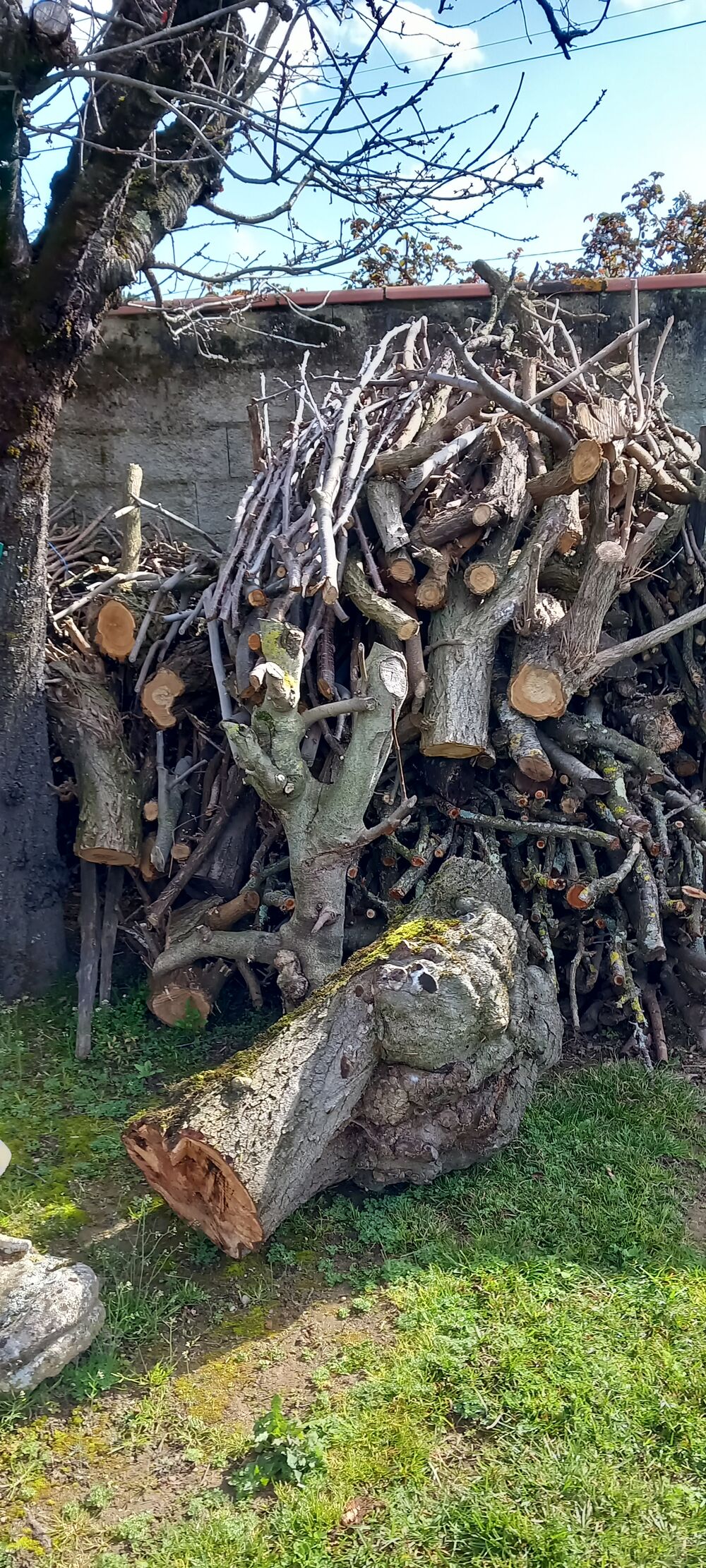 bois moyen issu d elagage Jardin