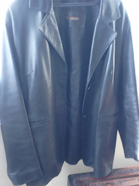 Veste en cuir 15 Paris 11 (75)