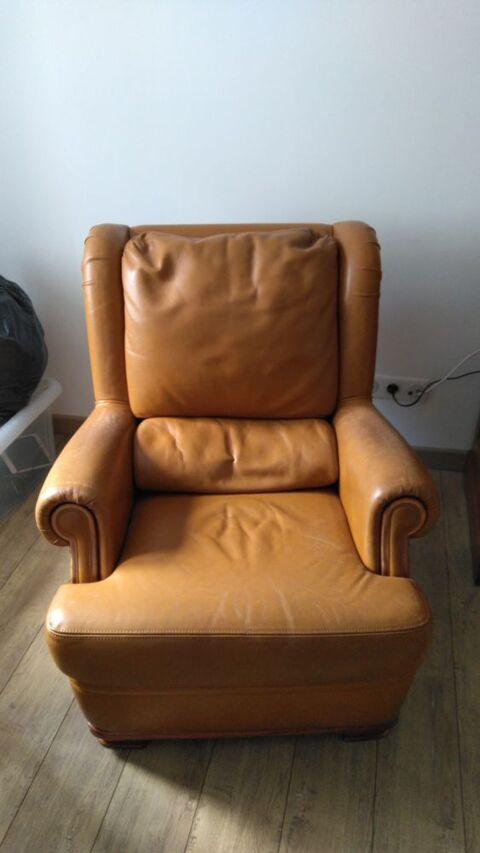 fauteuil 40 Saint-Dalmas-le-Selvage (06)