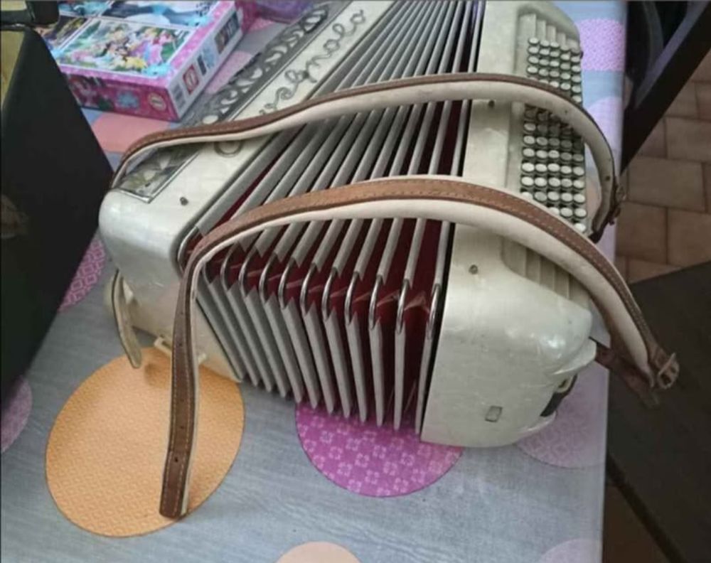 Bel Accord&eacute;on Instruments de musique