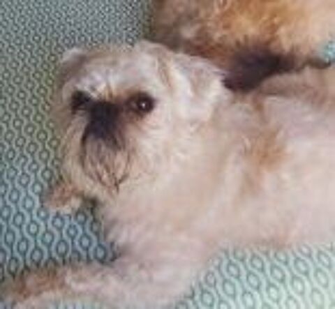 QUINO 300 95610 ragny