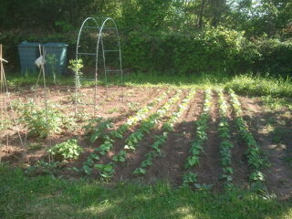  Terrain � vendre 1700 m�