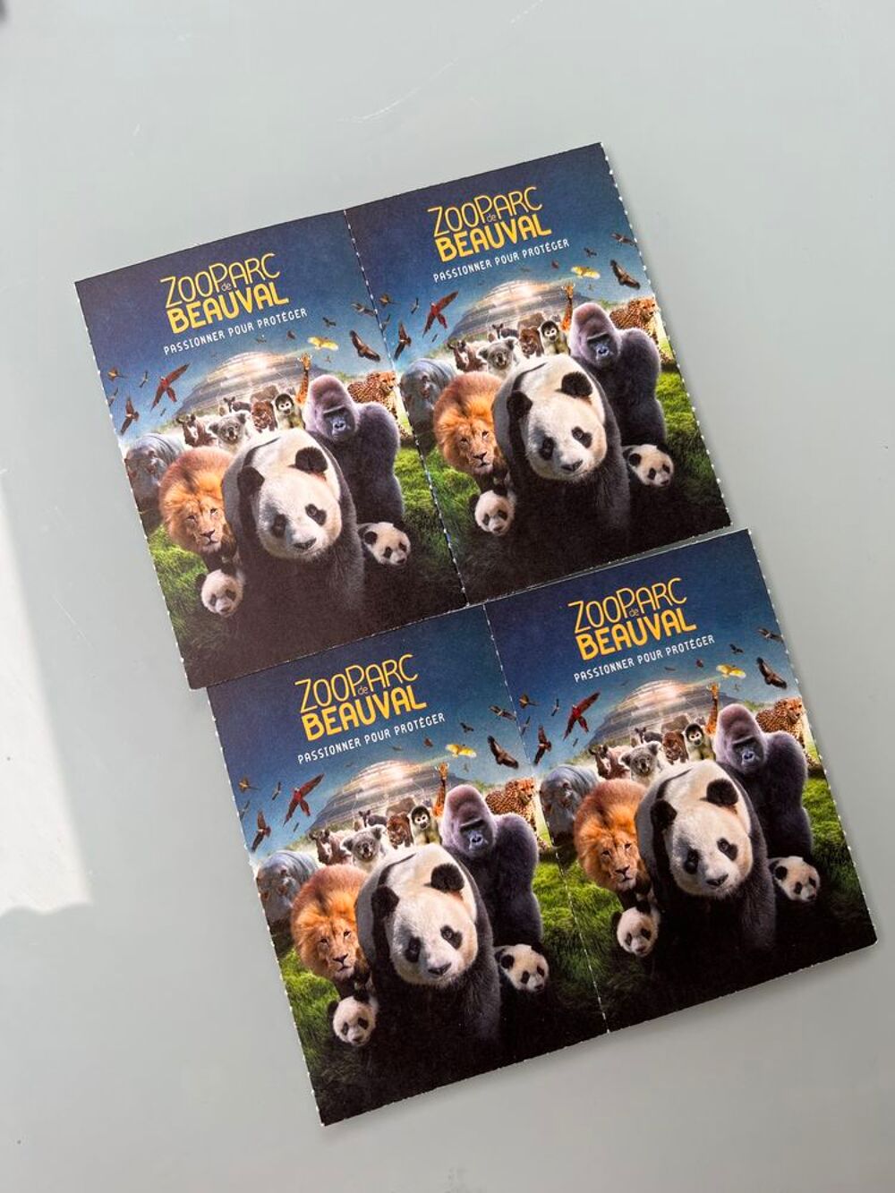 Billets Beauval adultes Billetterie