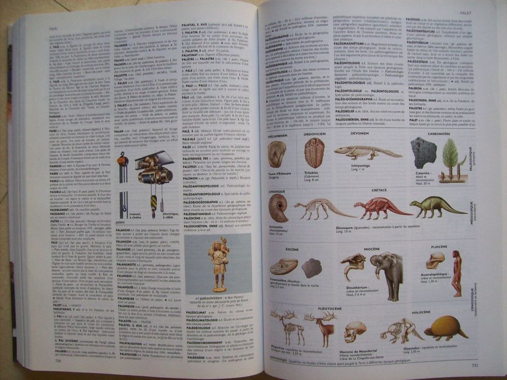 dictionnaires ROBERT et LAROUSSE - zoe Livres et BD