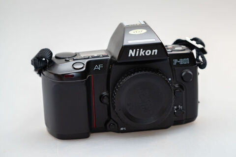 Nikon f801 argentique 110 Nimes (30)