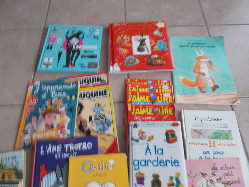 LOT DE LIVRES POUR ENFANTS ET ADOS Livres et BD