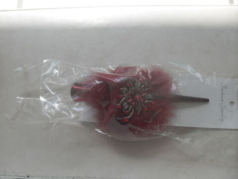 PInce pour cheveux 8 Saint-Germain-au-Mont-d'Or (69)