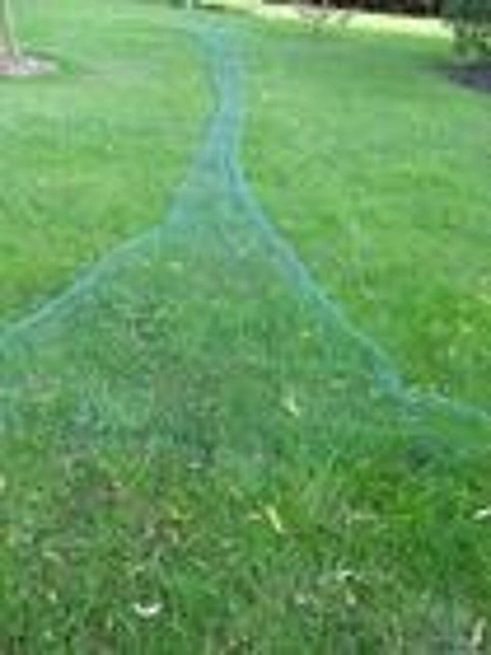 Filet de jardin 5 m x 3 m Jardin