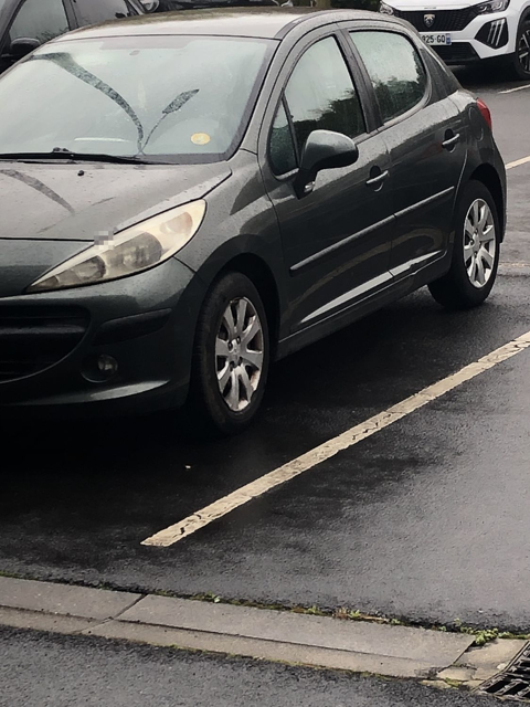 Peugeot 207 1.4 HDi 70ch BLUE LION Active 2009 occasion Tourcoing 59200