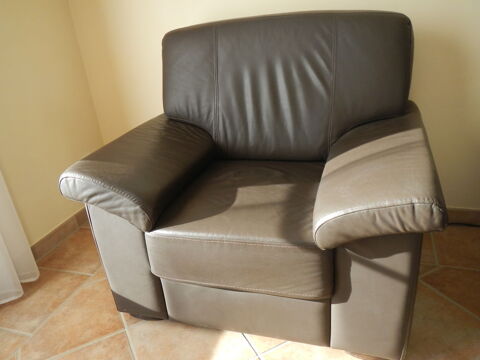 fauteuil cuir 100 Le Puy-Sainte-Rparade (13)