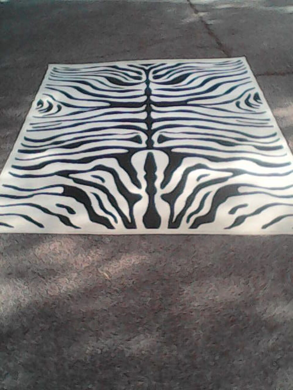 Tapis de salon, chambre poils ras design moderne motif z&egrave;bre Décoration