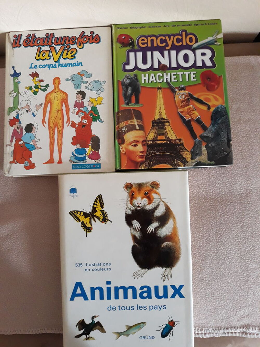 Encyclop&eacute;die Junior . Livres et BD