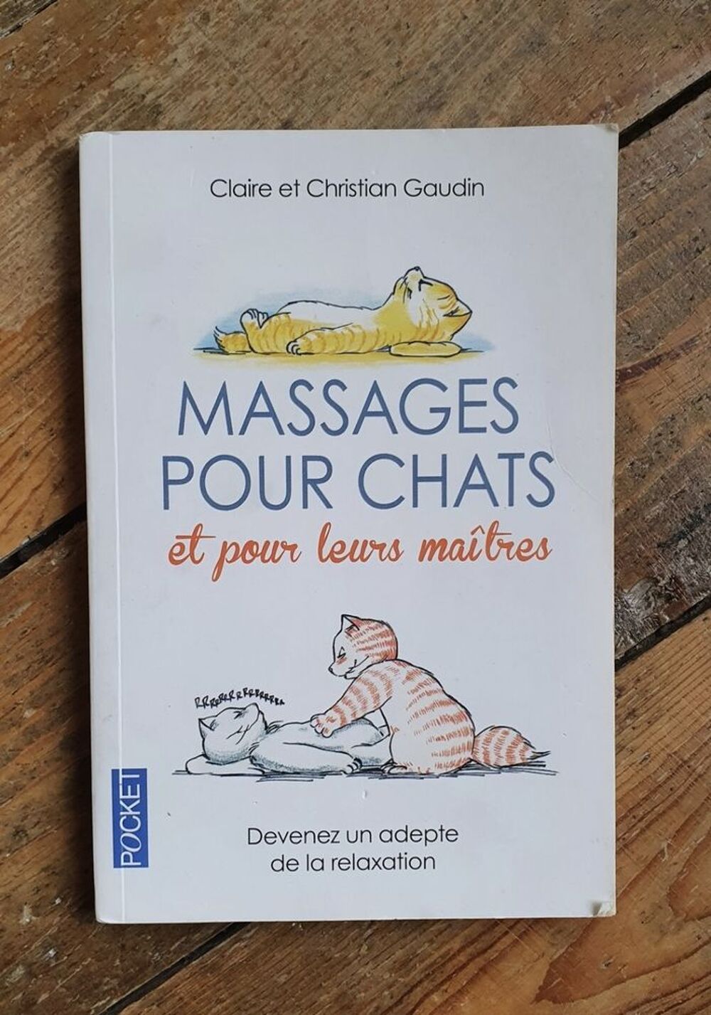 Massages pour chats et pour leurs ma&icirc;tres Livres et BD