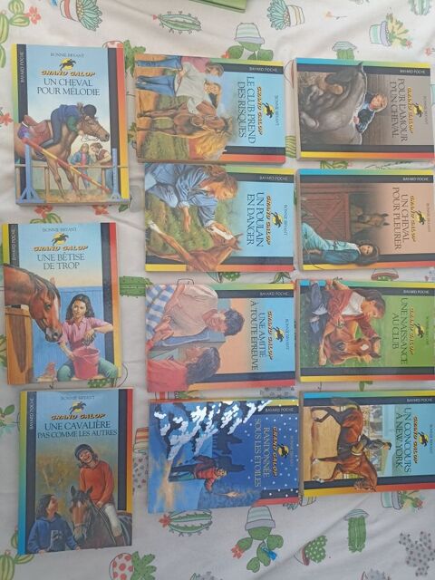 lot de 11 livres de la collection grand galop 45 Neuville-en-Ferrain (59)