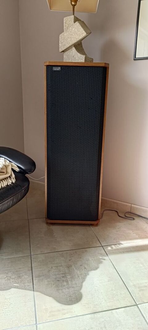 Paire d'enceintes Celestion Ditton 66 600 Saint-Pierre-de-Rivire (09)