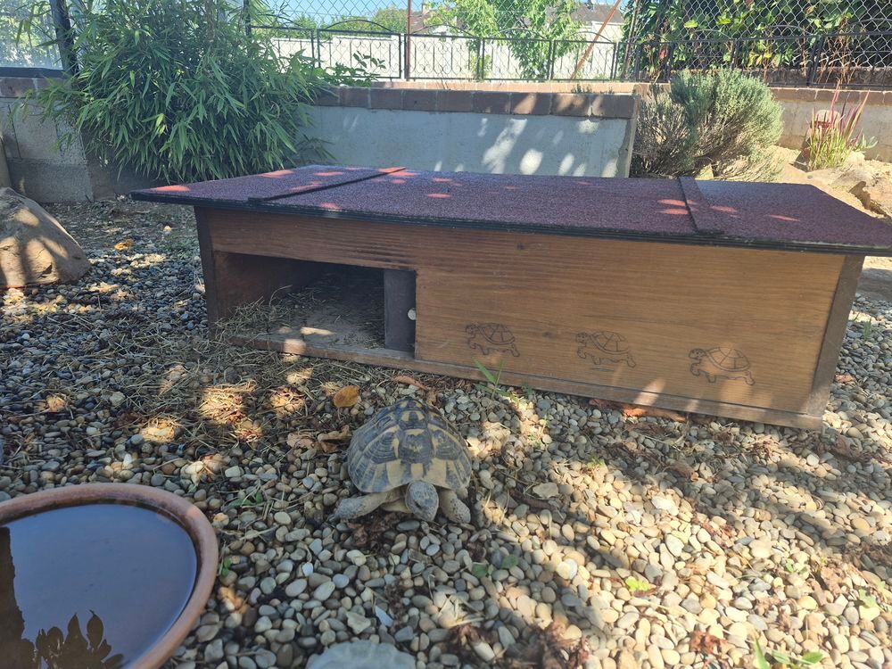   Cabane pour tortue 