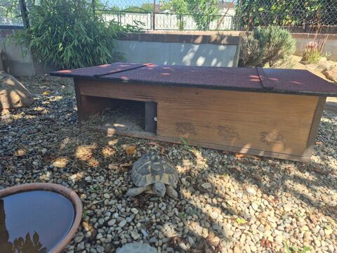 Cabane pour tortue 200 10160 Aix-en-othe