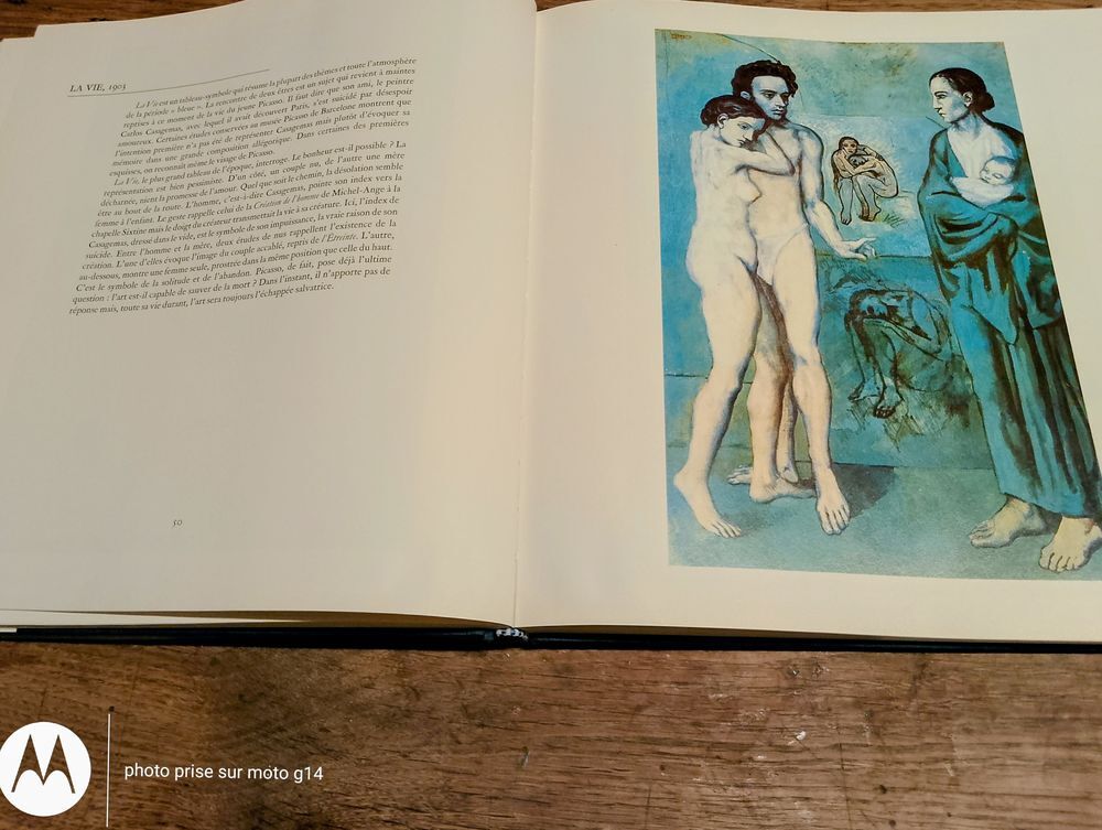 PICASSO - les Chefs d'Oeuvre Livres et BD