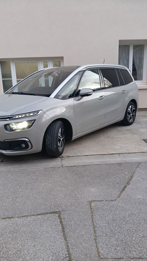 Citro&euml;n Grand C4 Spacetourer PureTech 180 S&S EAT8 Shine 2019 occasion Arles 13200