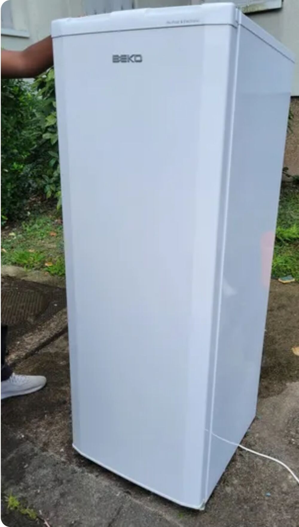 Cong&eacute;lateur Electroménager