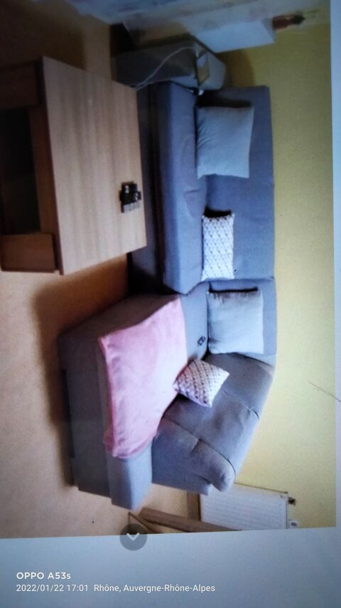 Canap d'angle gris 650 Mions (69)