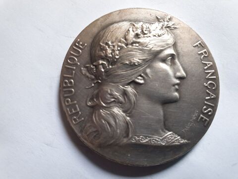 Médaille Ville de Bordeaux en bronze 30 Bordeaux (33)