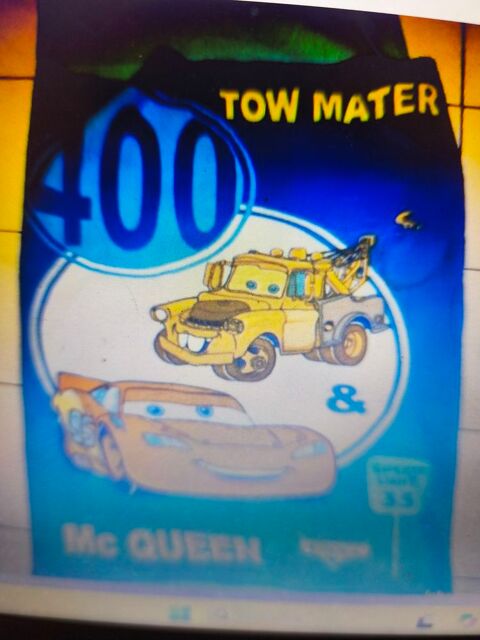 SAC DE COUCHAGE ou COUVERTURE  CARS  9 Saint-Genis-Laval (69)