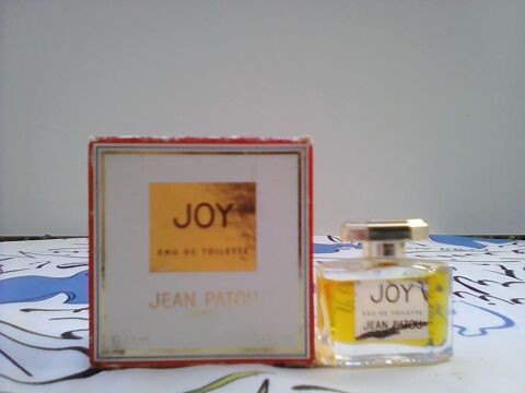 MINIATURE DE PARFUM 5 Trouy (18)