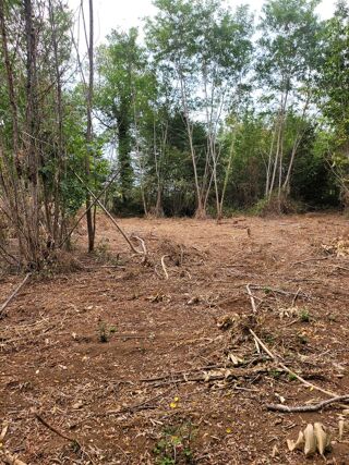  Terrain � vendre 2411 m�