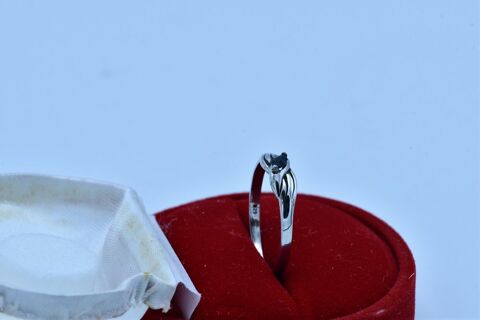 bague en argent  25 Provin (59)