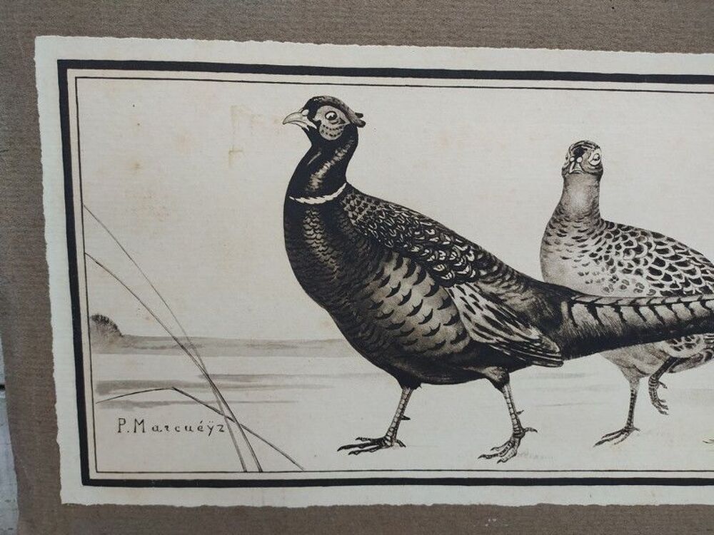 Paul MARCUEYZ Lithographie Faisans et Grenouilles Chasse
